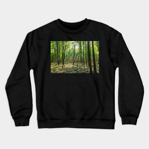 Rays of light in the forest Crewneck Sweatshirt by naturalis